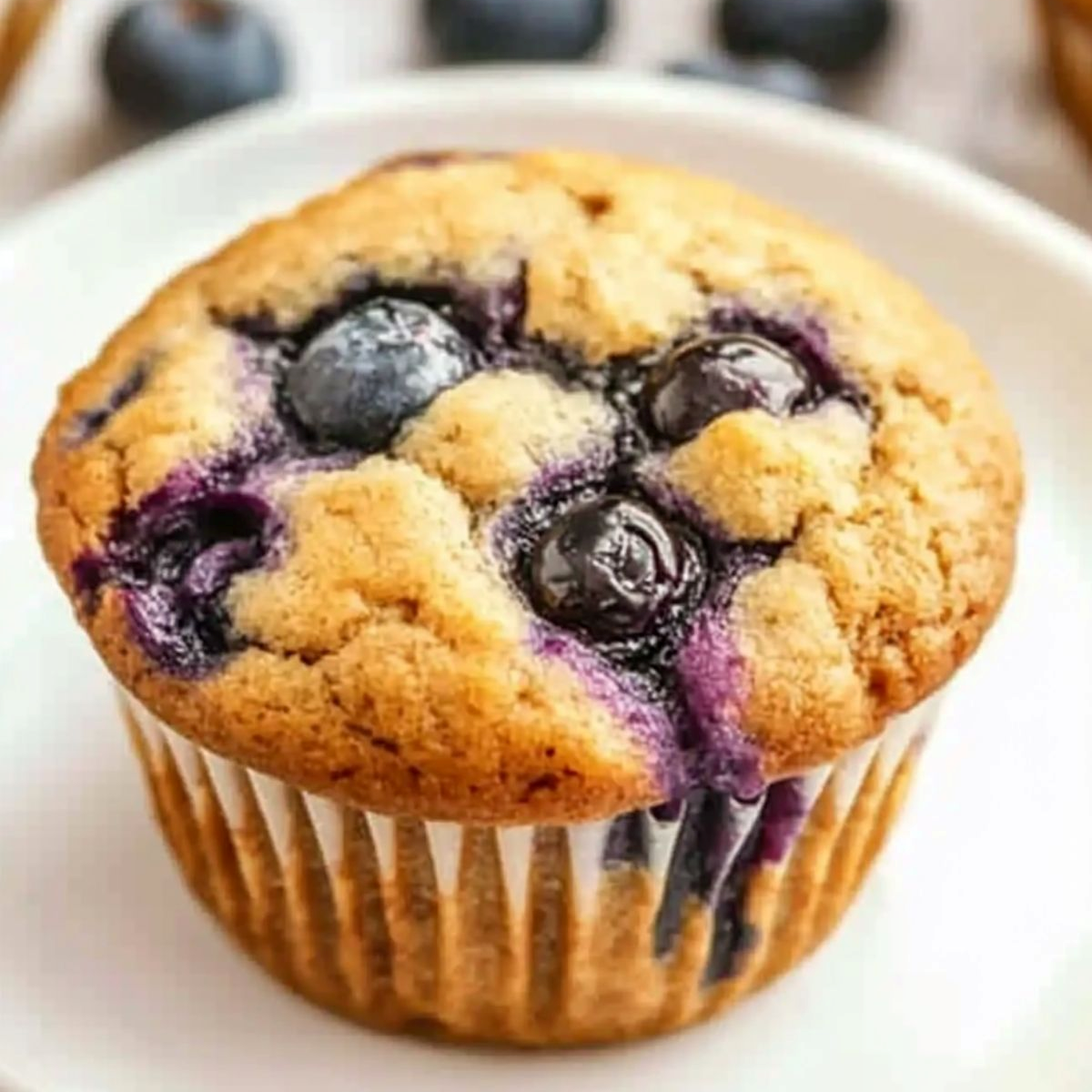 Blueberry Muffin