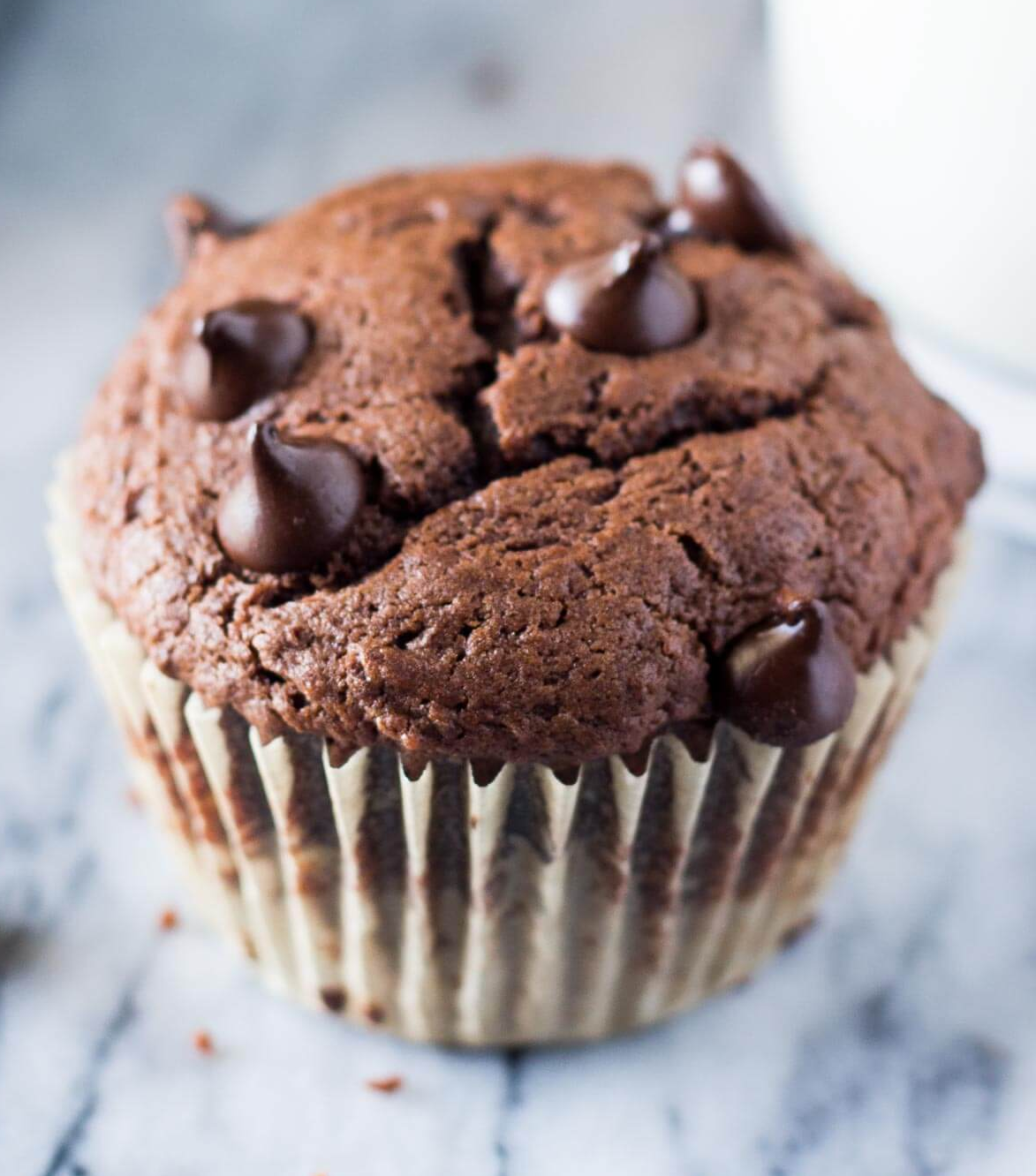 Chocolate Muffin